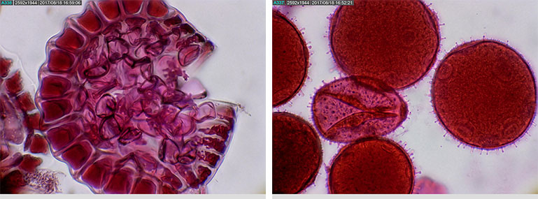 AM7025x-img1.jpg AM7025x-img1.jpg