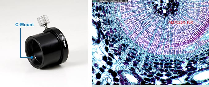 AM7025x-img3.jpg AM7025x-img3.jpg