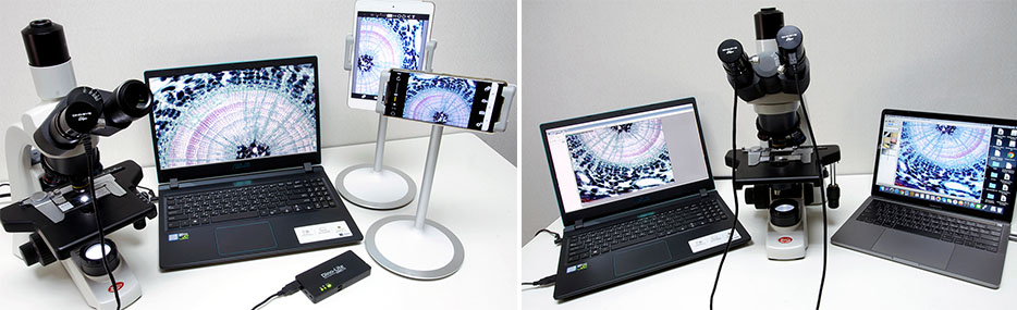 AM4025X-img3.jpg AM4025X-img3.jpg